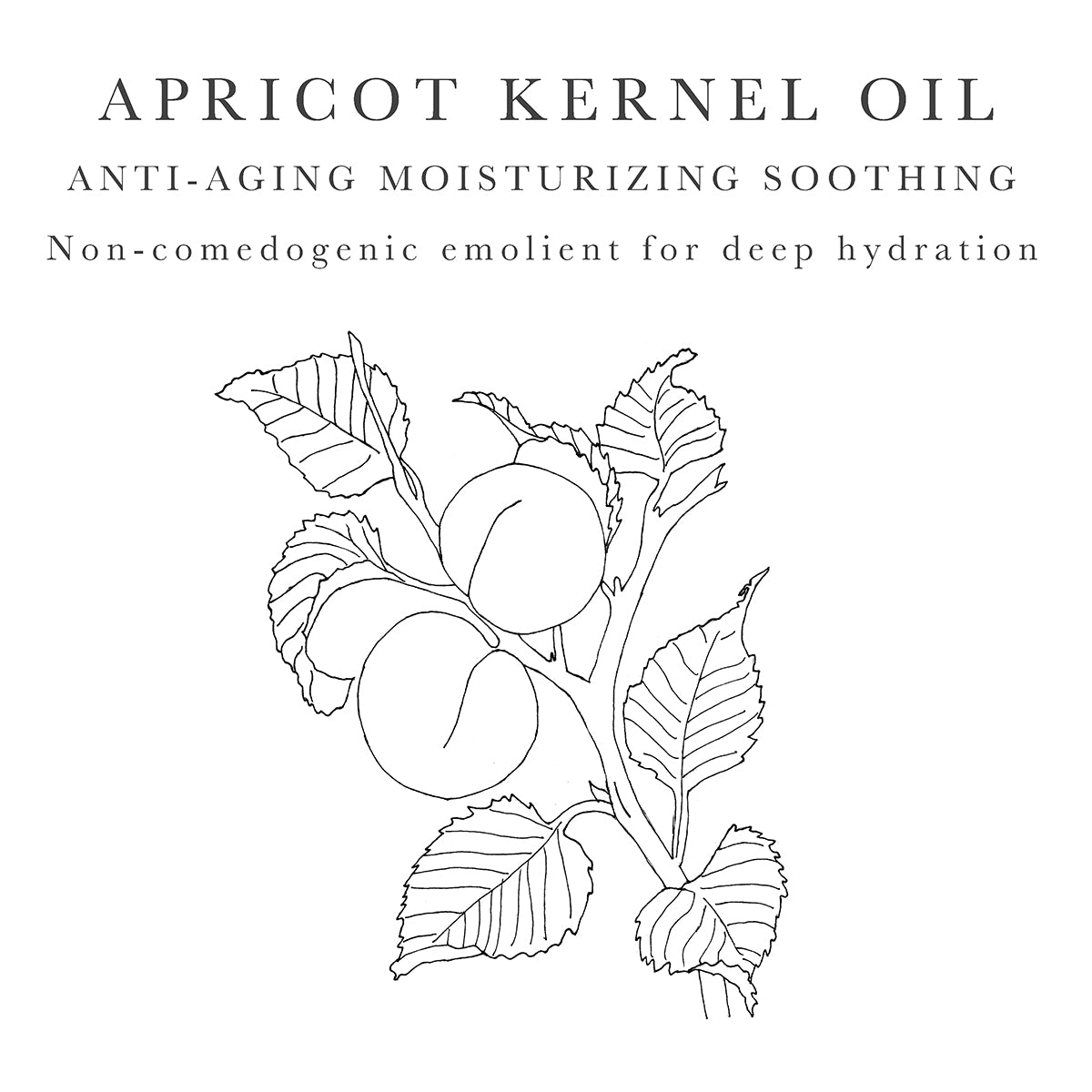 apricot kernel oil for dry skin
