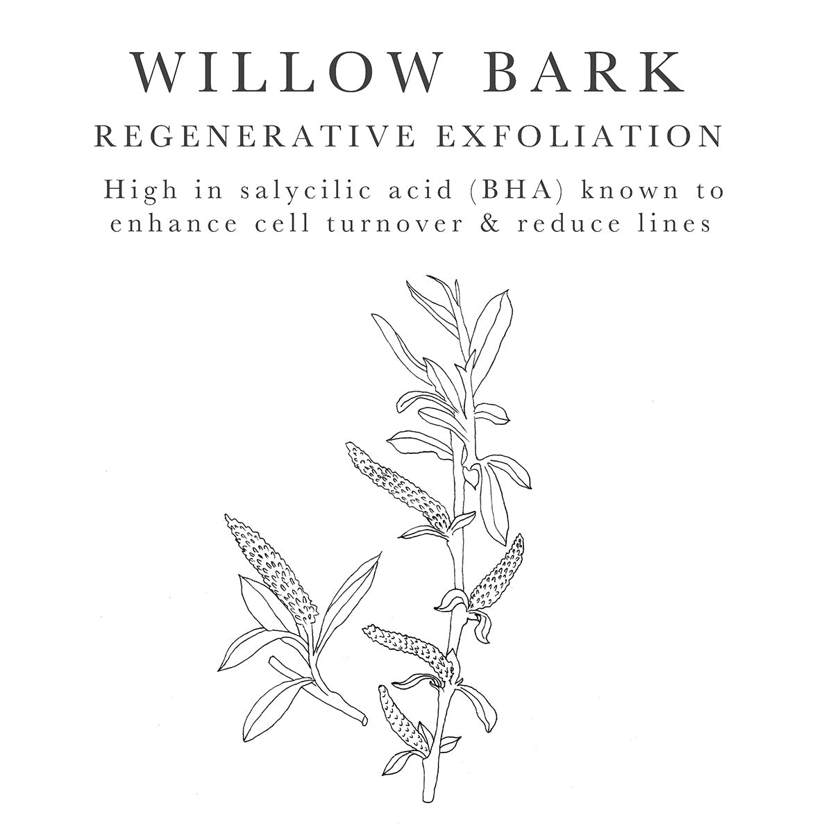 Willow Bark Extract - a natural exfoliator