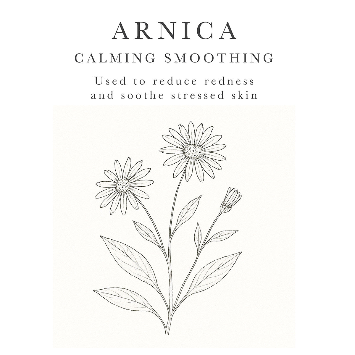 Arnica to calm and soothe sensitive skin