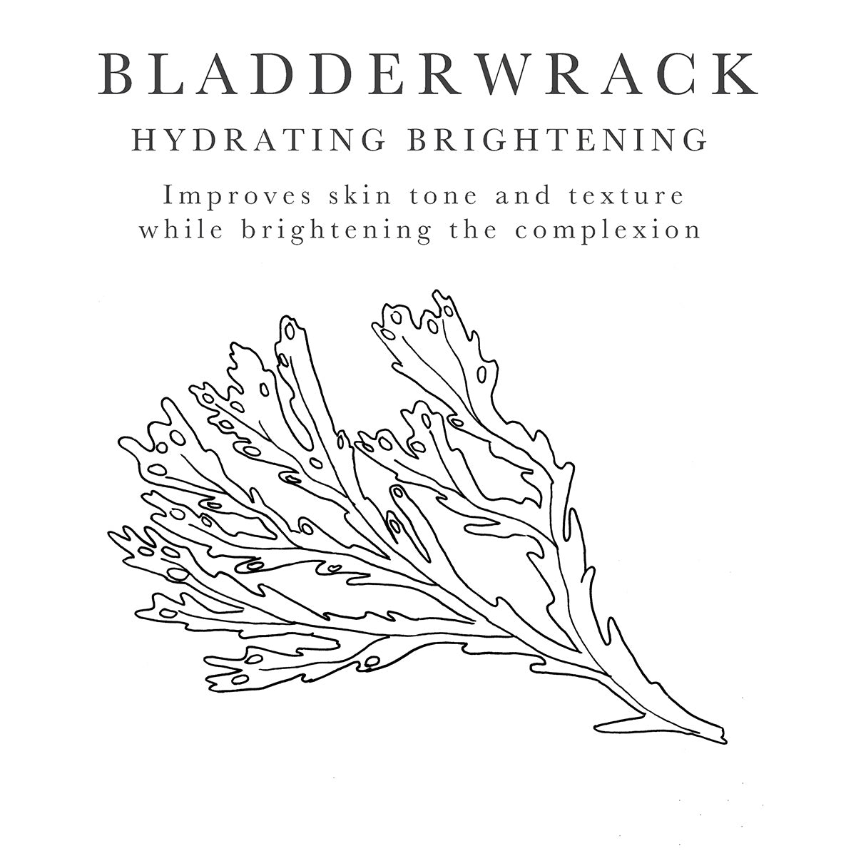 Bladderwrack seaweed for a brighter complexion
