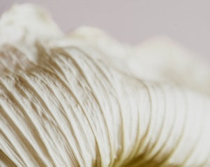 Close-up natural texture illustrating the protective structure of the skin barrier