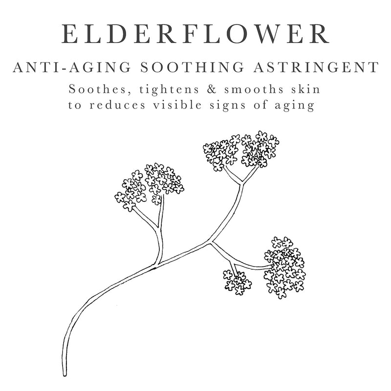 elderflower extract - botanical astringent to minimize pores
