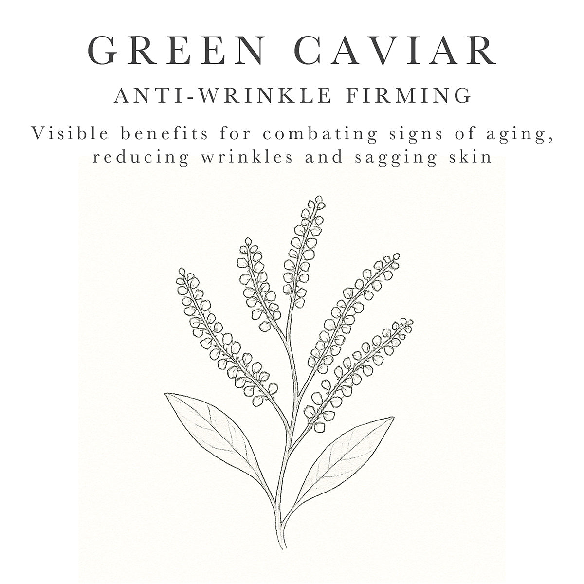 Green Caviar for firming mature skin