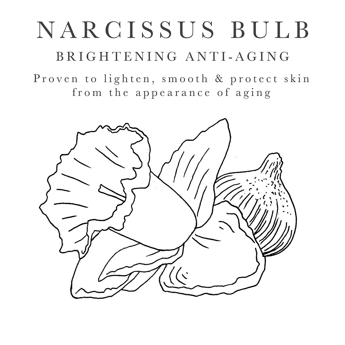 Narcissus botanical extract for skin lightening
