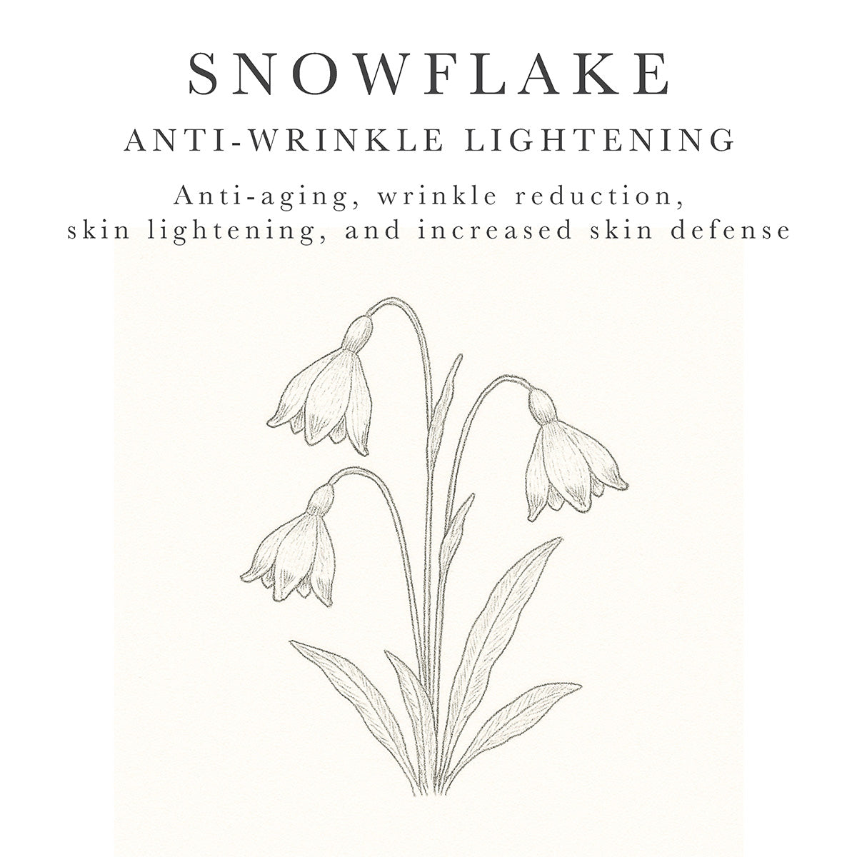 Snowflake extract to reduce wrinkles